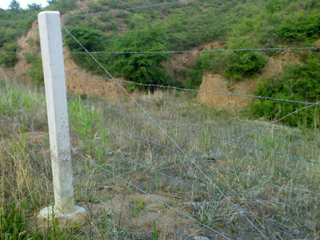 熱鍍鋅刺繩.jpg 熱鍍鋅刺繩.jpg