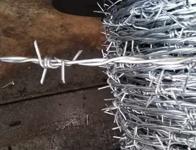 熱鍍鋅刺繩.jpg 熱鍍鋅刺繩.jpg