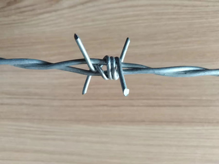 熱浸刺鐵絲.jpg 熱浸刺鐵絲.jpg