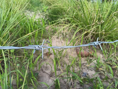 刺繩圍欄.jpg 刺繩圍欄.jpg